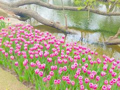 -上海滨江森林公园
