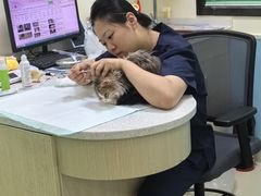 -天宠宠物医院24小时·急重症诊疗中心·全科·腔镜特色(和平分院)