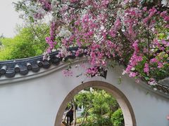 -深圳国际园林花卉博览园