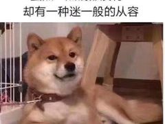 -钟方模白家肥肠粉(春熙店)