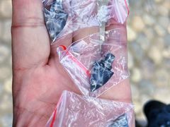 -水洞沟旅游区