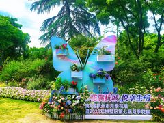 -大关公园