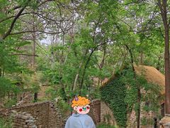 -井塘古村