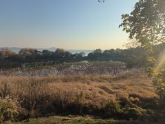 -上海市保健医疗中心