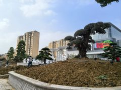 -白金汉爵大酒店(相城店)