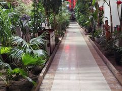 -新世纪绿洲(抚顺店)