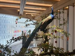-和子足浴SPA会馆(竹山路店)