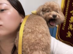 -凯瑞希宠物医院·狂犬免疫·微创·皮肤科