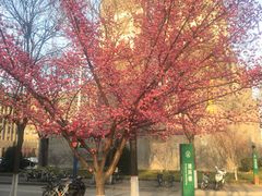 -西北农林科技大学(北校区)