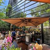 华贸！这才是北京春天该有的样子…