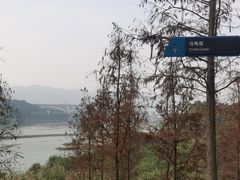 -金海湾滨江公园