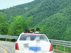 -大围山国家森林公园