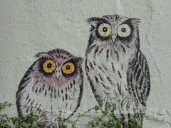 -槟城街头艺术街区