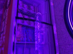 -星聚会KTV(上海东方渔人码头店)