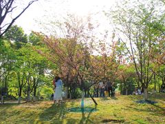 -堤角公园