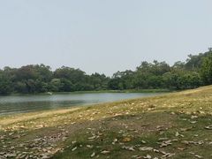 -仙湖旅游度假区