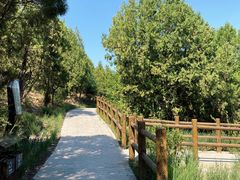 -白水寺森林公园