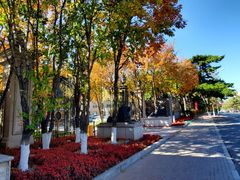 -长春市南湖公园