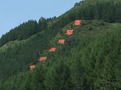 -塞罕坝国家级自然保护区