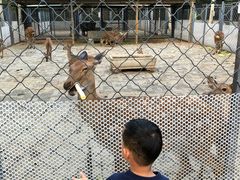 -长白岛森林公园