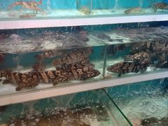 -盒马鲜生(首义店)