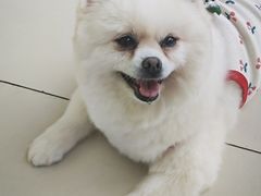 -怪兽屋·羊驼·猫咖·狗咖(俊华广场店)