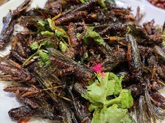 -风暴音乐烧烤串吧