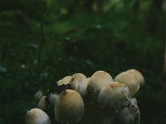 -硗碛藏寨·神木垒景区