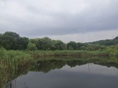 -西湖风景区-江洋畈生态公园