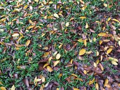 -华南国家植物园-售票处