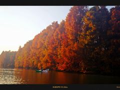 -上海海湾国家森林公园