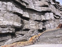 -辽宁古生物博物馆