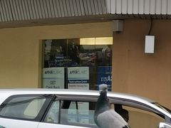 -金兴利茶室(新苏兰店)