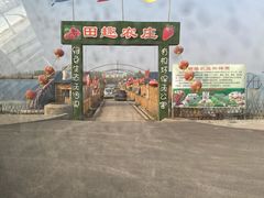 -田趣农庄草莓采摘园