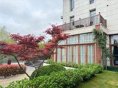 -梅林春晓花园餐厅