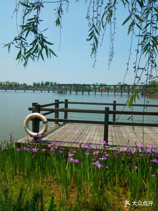 杵山生态公园-图片-苏州周边游-大众点评网