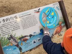 -绿堤公园