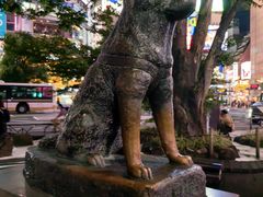 -涩谷全向十字路口