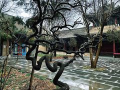 -西安关中民俗艺术博物院