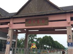 -上海都市菜园