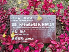 -邓小平故里
