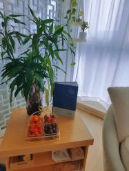 -荟草堂专业祛痘修护中心