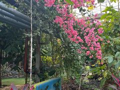-呀路古热带植物园