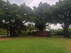 -万绿园