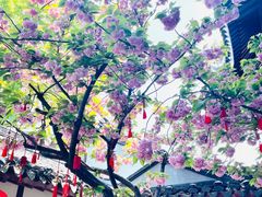 -寒山寺