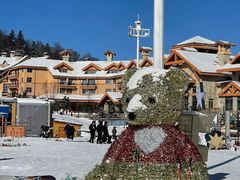 -长白山万达国际滑雪场