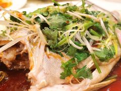 -沙龙酒家
