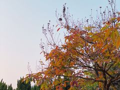 -南沙蒲洲花园