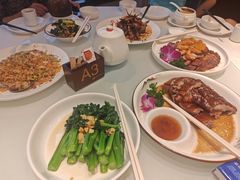 -将军烧鹅海鲜酒楼