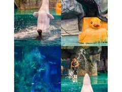 -威海华夏城景区